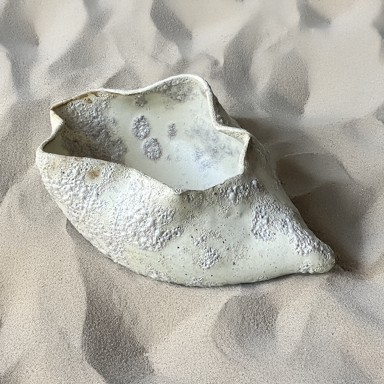 SHELL BOWL