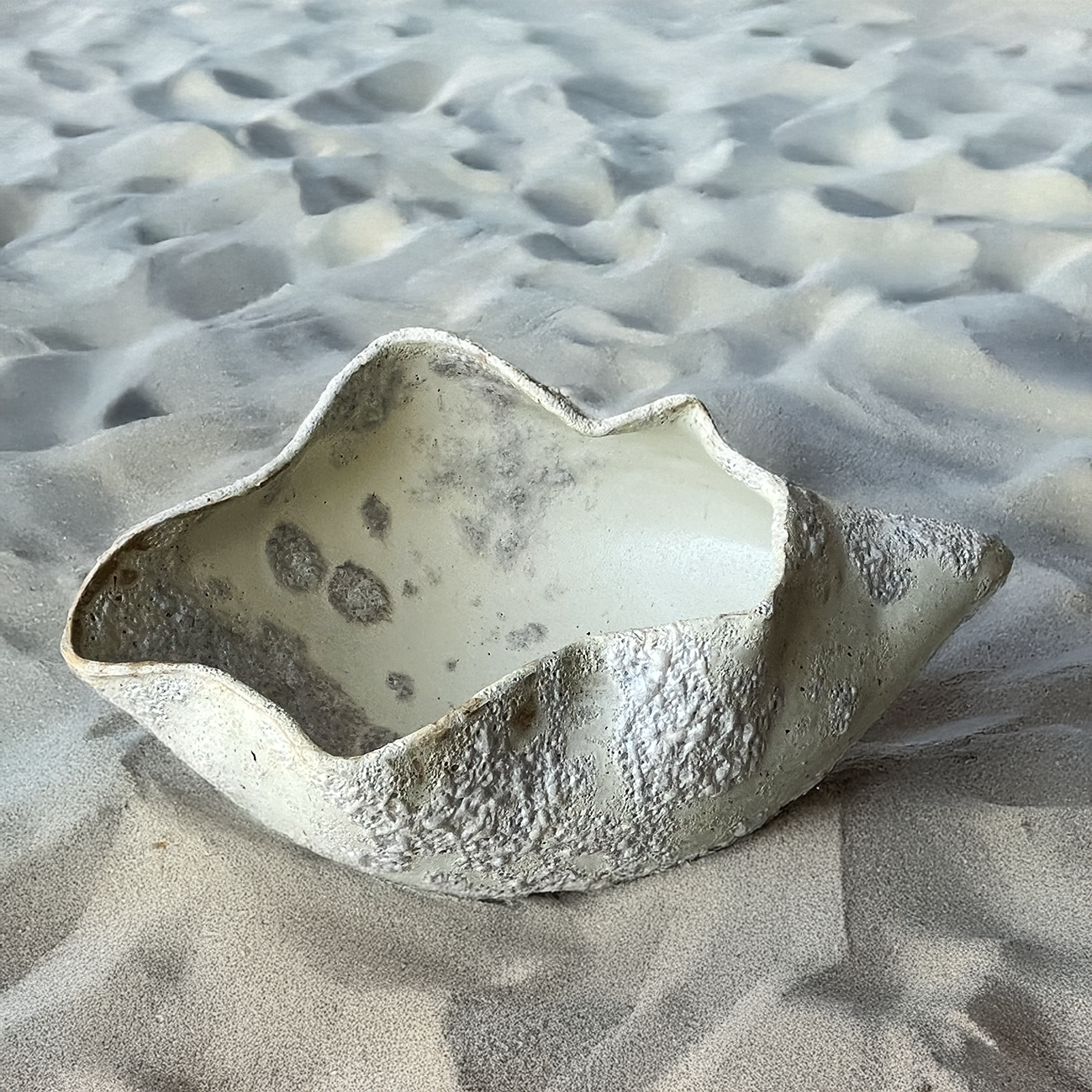 SHELL BOWL