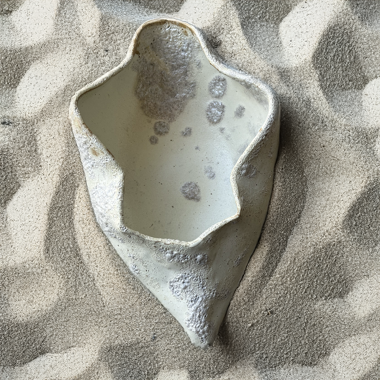 SHELL BOWL