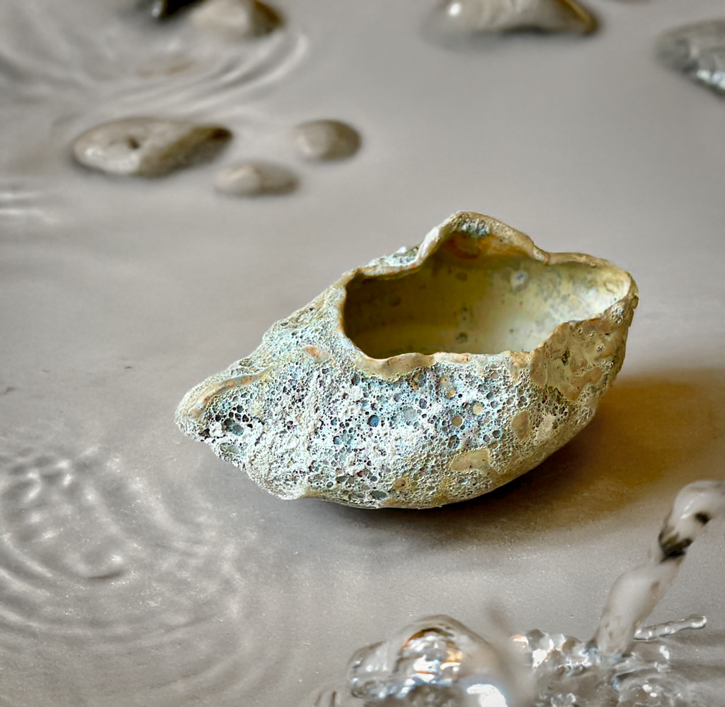 SHELL BOWL