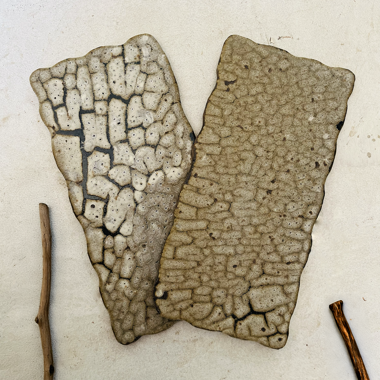 RECTANGULAR TIERRA